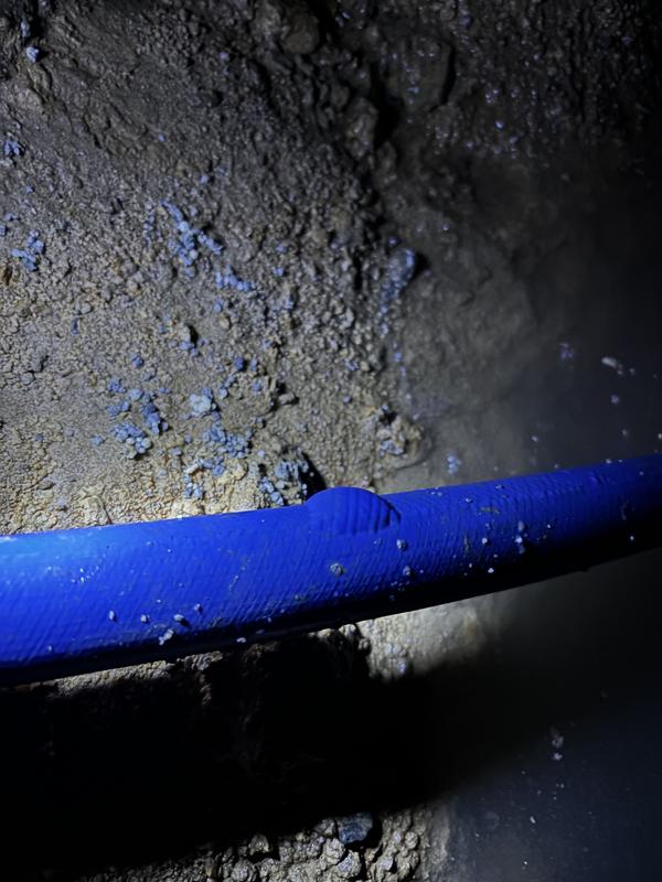 Ouvrir la fenêtre modale de l'avis 1 sur 1