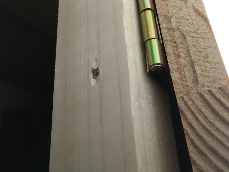 Revisione aperta modale 2 su 3