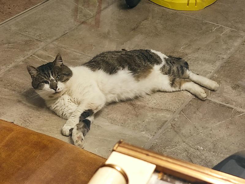 Ouvrir la fenêtre modale de l'avis 1 sur 2