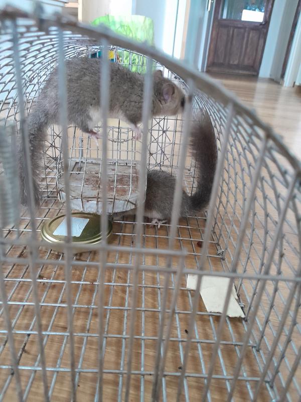 Ouvrir la fenêtre modale de l'avis 1 sur 3