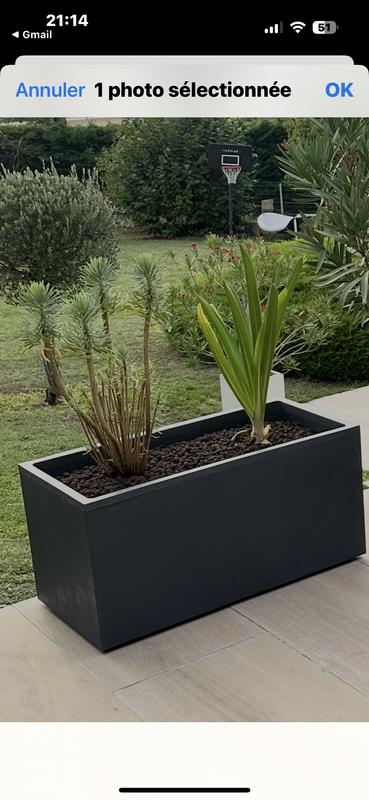 Ouvrir la fenêtre modale de l'avis 1 sur 1