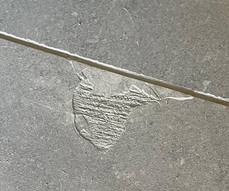 Ouvrir la fenêtre modale de l'avis 6 sur 6