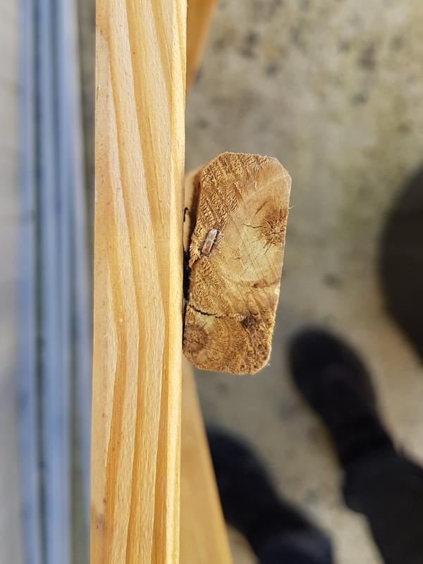 Abra o modal de avaliação 2 de 2