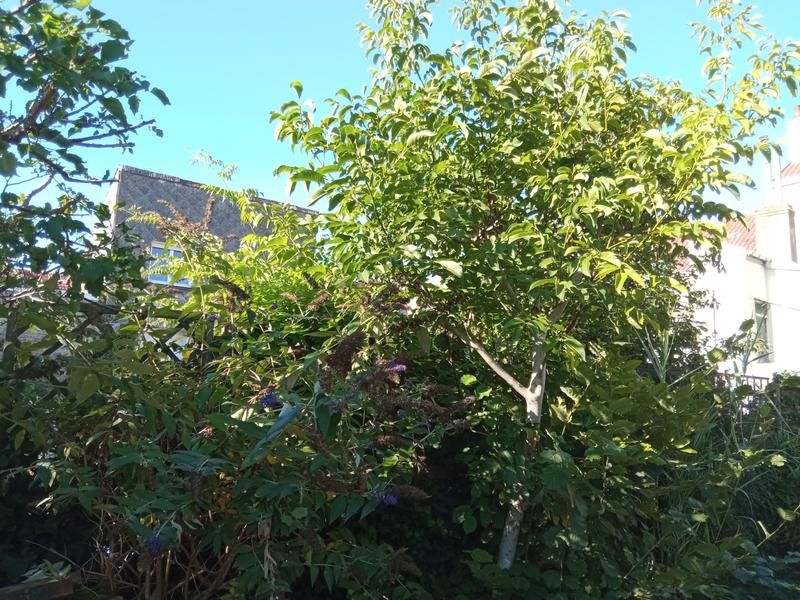 Ouvrir la fenêtre modale de l'avis 4 sur 6