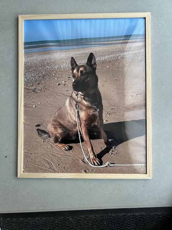 Ouvrir la fenêtre modale de l'avis 1 sur 1