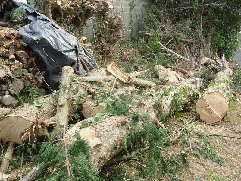 Ouvrir la fenêtre modale de l'avis 1 sur 1