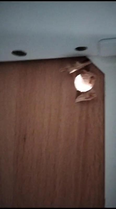 Ouvrir la fenêtre modale de l'avis 1 sur 2