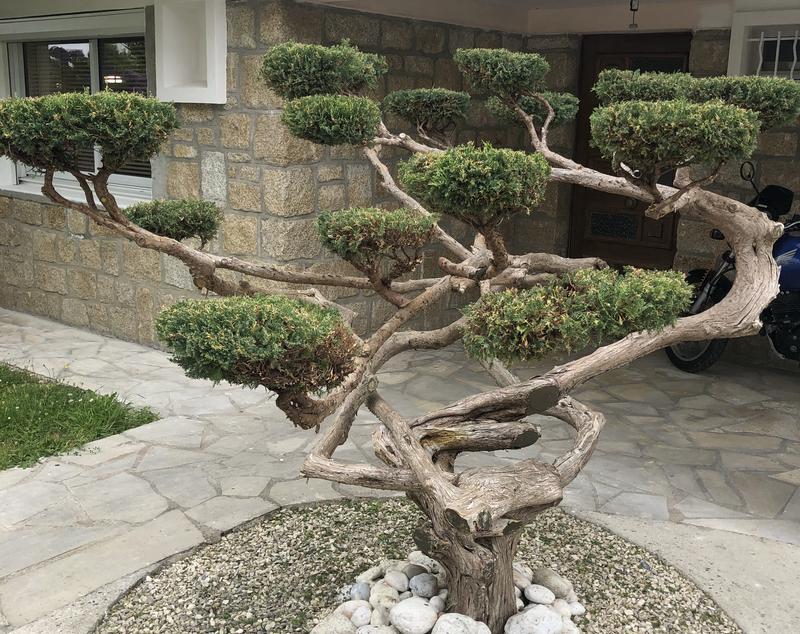 Ouvrir la fenêtre modale de l'avis 1 sur 2