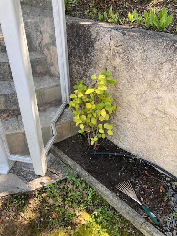 Ouvrir la fenêtre modale de l'avis 2 sur 6