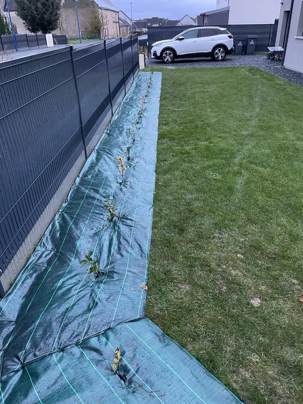 Revisione aperta modale 1 su 3