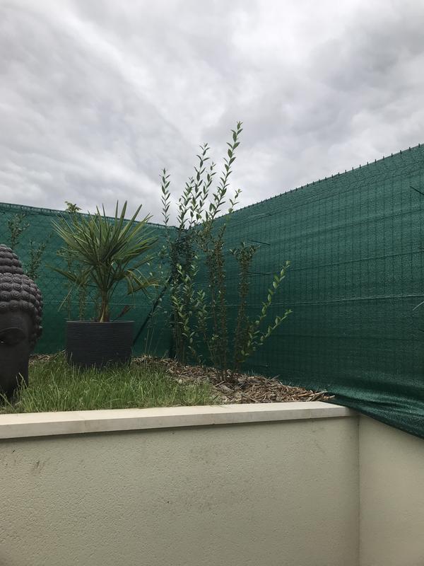 Ouvrir la fenêtre modale de l'avis 1 sur 1