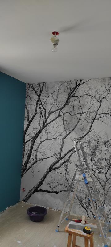 Ouvrir la fenêtre modale de l'avis 2 sur 3