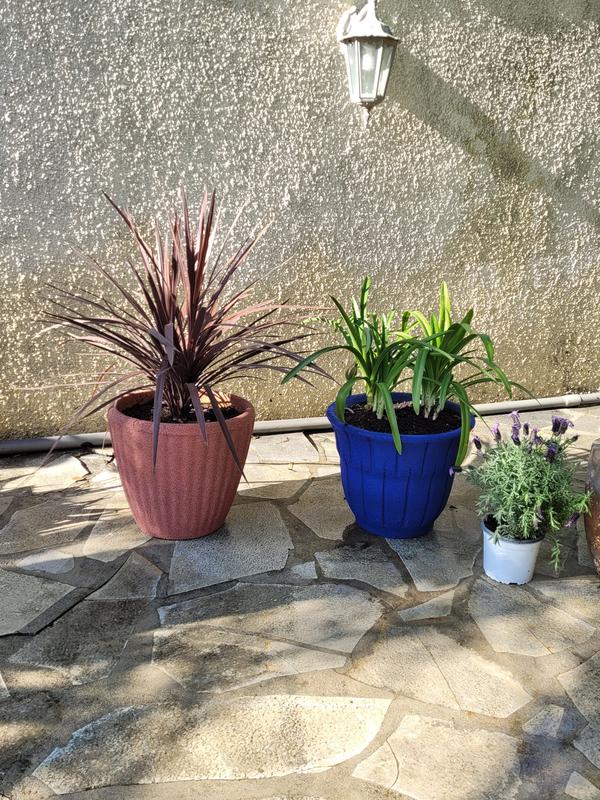 Ouvrir la fenêtre modale de l'avis 1 sur 1