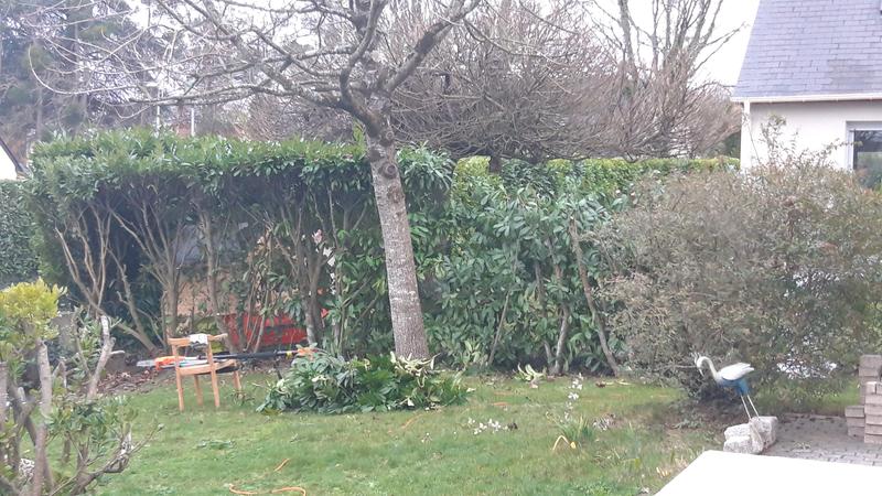 Ouvrir la fenêtre modale de l'avis 1 sur 1