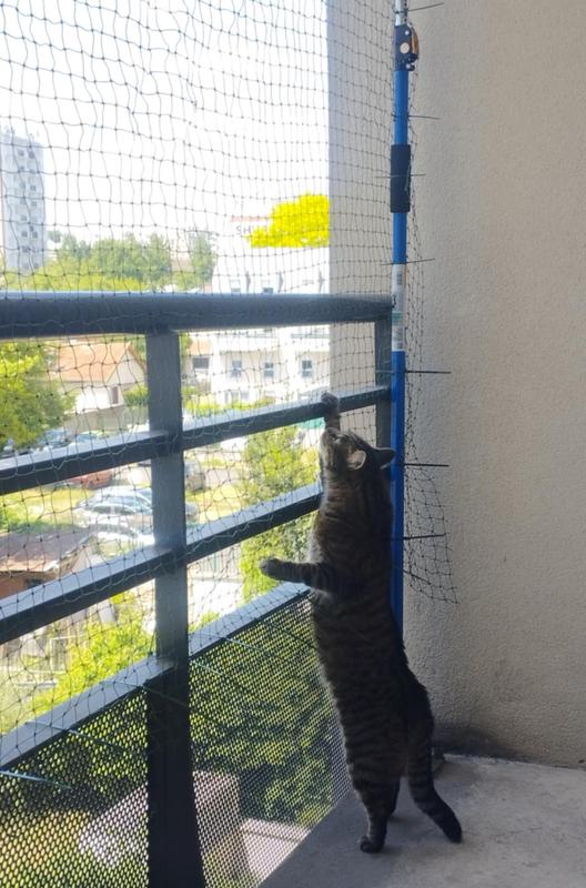 Ouvrir la fenêtre modale de l'avis 2 sur 2