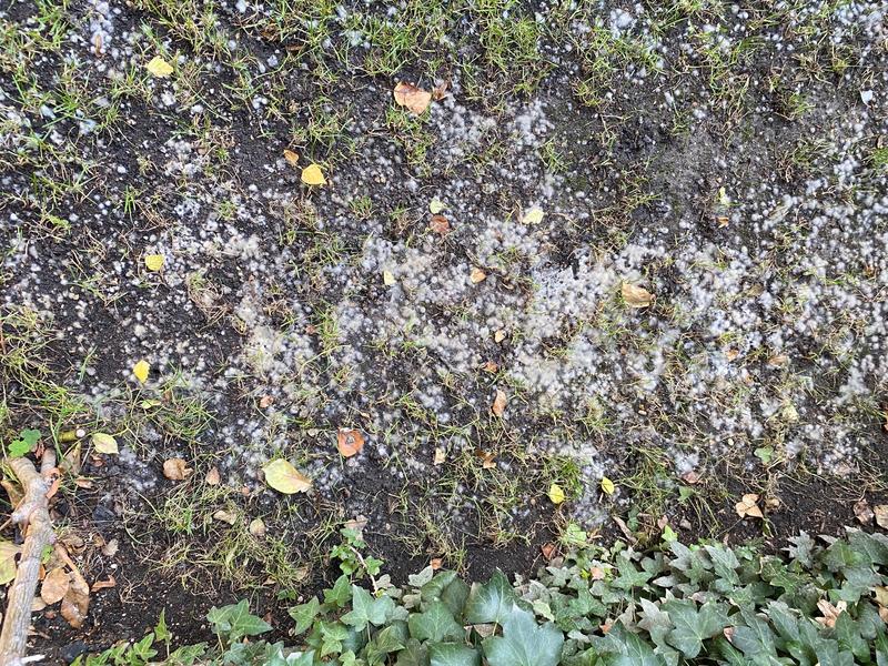 Ouvrir la fenêtre modale de l'avis 5 sur 5