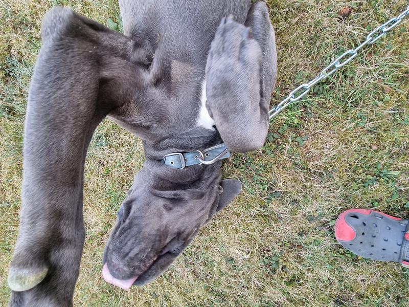 Abra o modal de avaliação 2 de 2