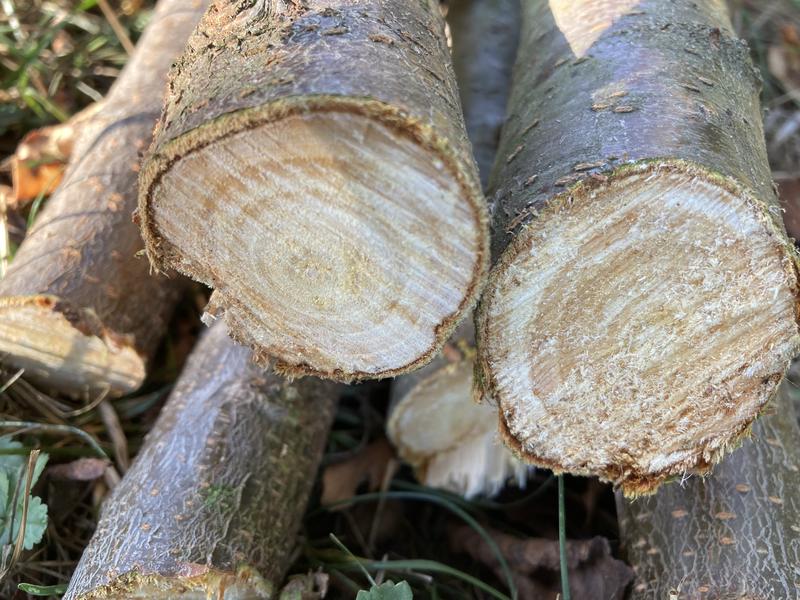 Ouvrir la fenêtre modale de l'avis 4 sur 4