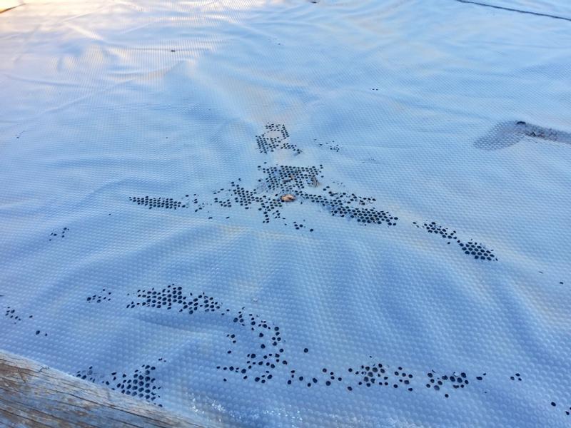 Ouvrir la fenêtre modale de l'avis 1 sur 1