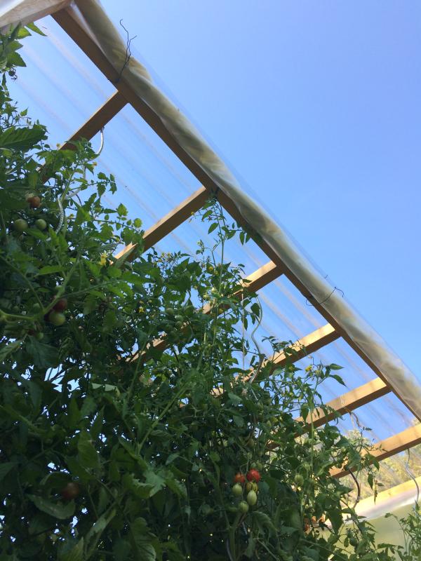 Ouvrir la fenêtre modale de l'avis 3 sur 3