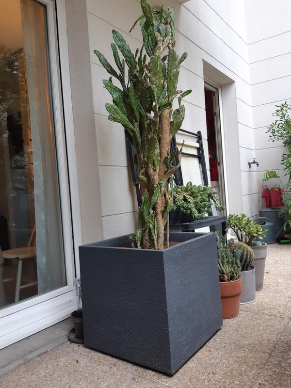 Ouvrir la fenêtre modale de l'avis 1 sur 2