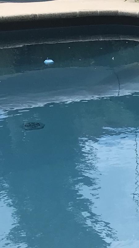 Ouvrir la fenêtre modale de l'avis 1 sur 1