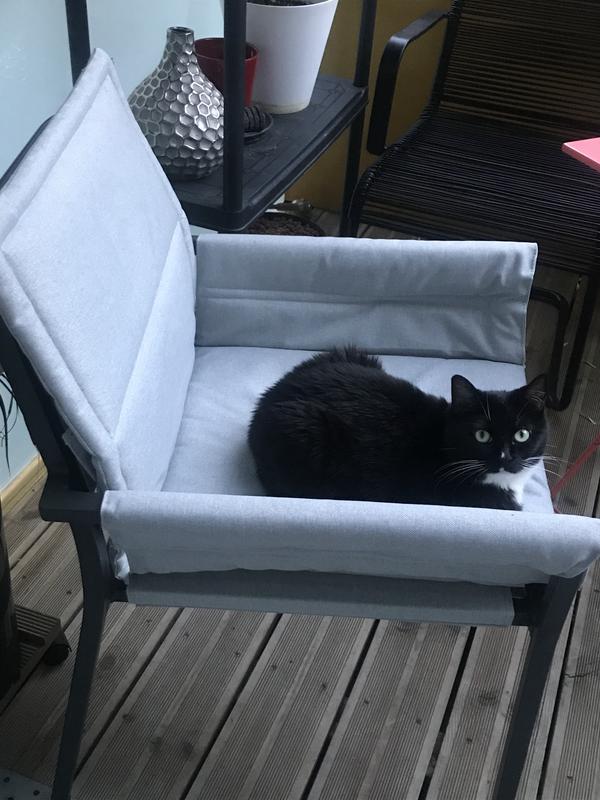 Revisione aperta modale 6 su 6