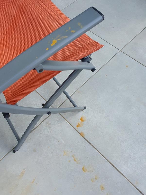 Ouvrir la fenêtre modale de l'avis 4 sur 4