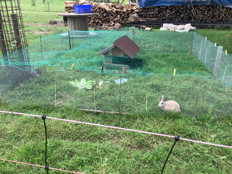 Ouvrir la fenêtre modale de l'avis 1 sur 1