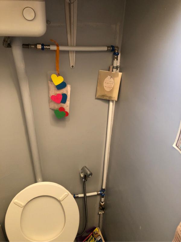 Revisione aperta modale 1 su 2