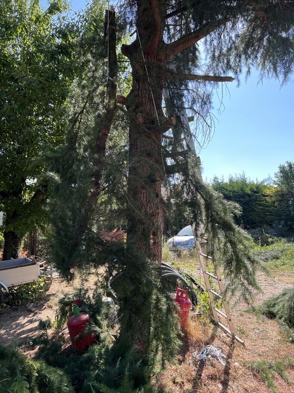 Ouvrir la fenêtre modale de l'avis 2 sur 2