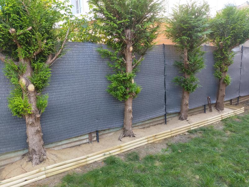 Ouvrir la fenêtre modale de l'avis 1 sur 1