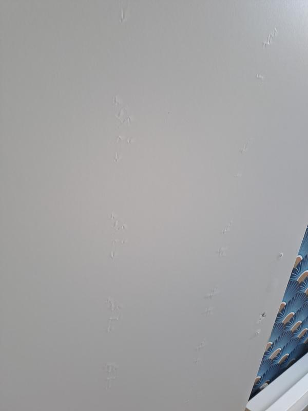 Ouvrir la fenêtre modale de l'avis 4 sur 4