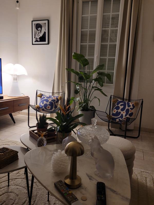 Ouvrir la fenêtre modale de l'avis 1 sur 1