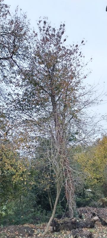 Ouvrir la fenêtre modale de l'avis 2 sur 6