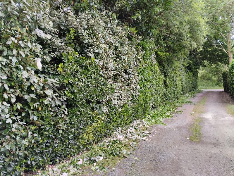 Ouvrir la fenêtre modale de l'avis 1 sur 1