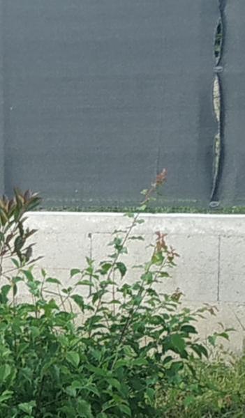 Ouvrir la fenêtre modale de l'avis 2 sur 2