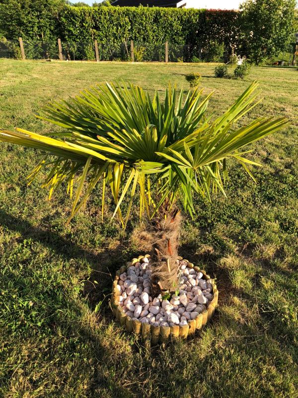 Abra o modal de avaliação 1 de 1