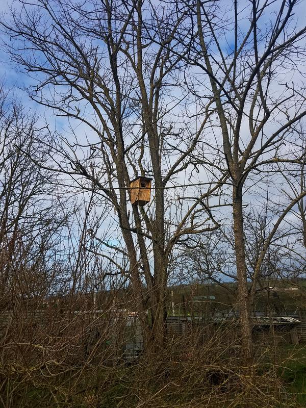 Ouvrir la fenêtre modale de l'avis 1 sur 3