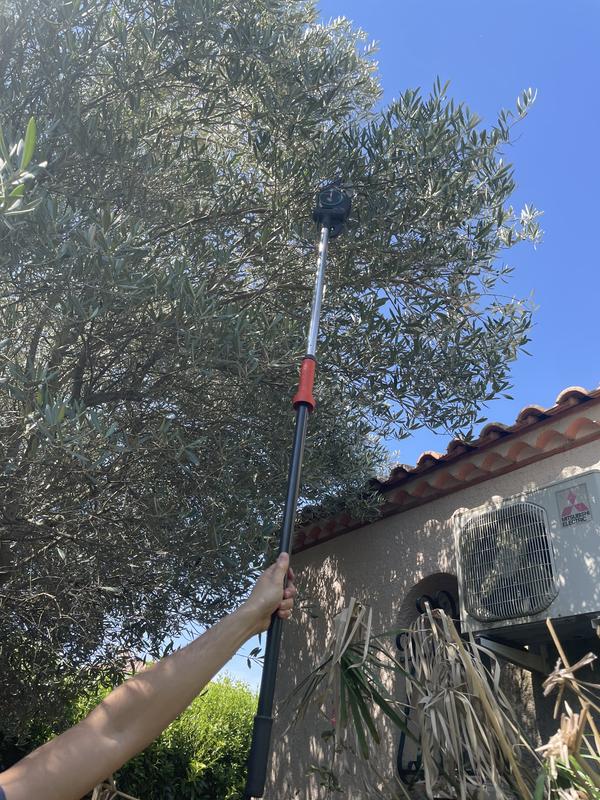 Revisione aperta modale 1 su 4