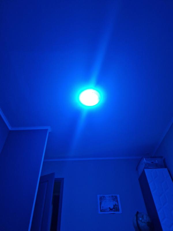 Abra o modal de avaliação 1 de 1