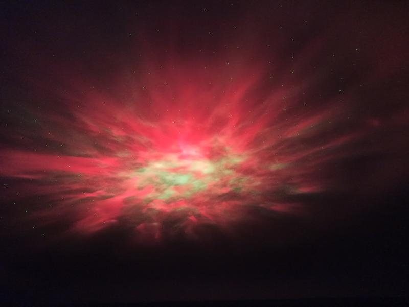 Revisione aperta modale 2 su 3