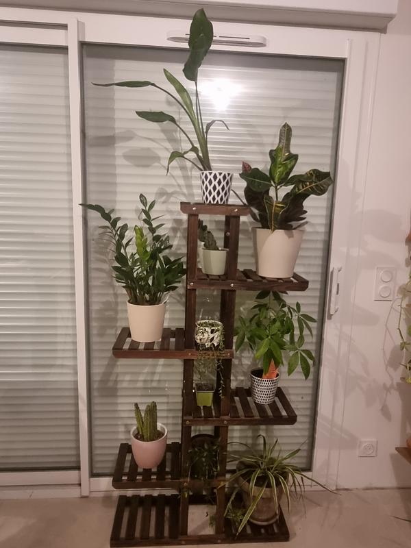 Ouvrir la fenêtre modale de l'avis 2 sur 2