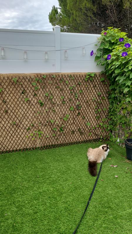 Abra o modal de avaliação 1 de 1