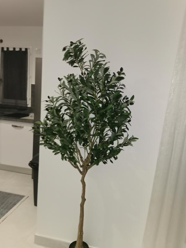 Ouvrir la fenêtre modale de l'avis 1 sur 1