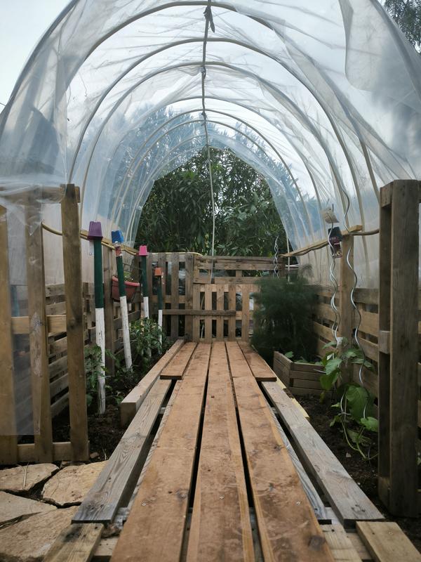 Ouvrir la fenêtre modale de l'avis 1 sur 1