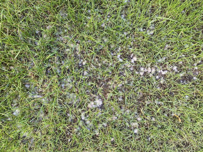 Ouvrir la fenêtre modale de l'avis 2 sur 5