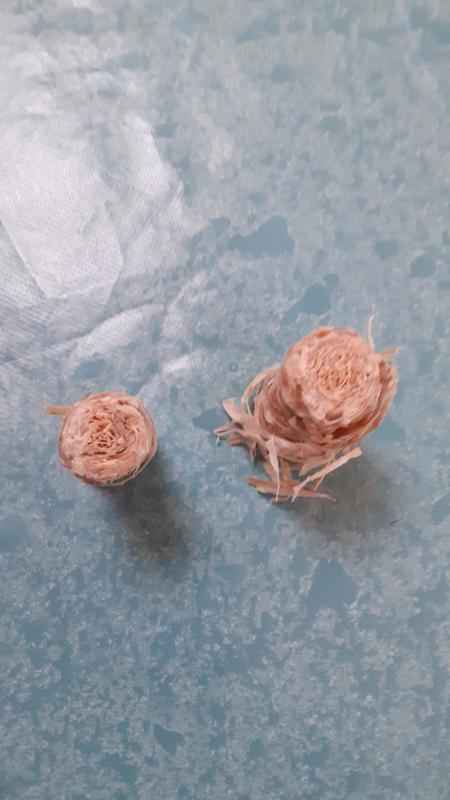 Ouvrir la fenêtre modale de l'avis 2 sur 2