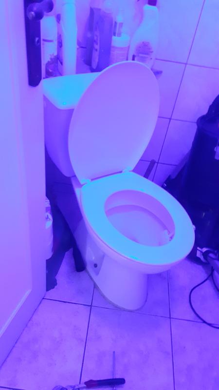 Revisione aperta modale 2 su 2