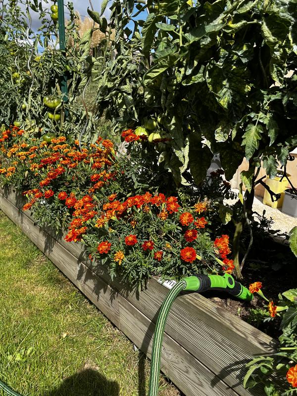 Revisione aperta modale 4 su 4